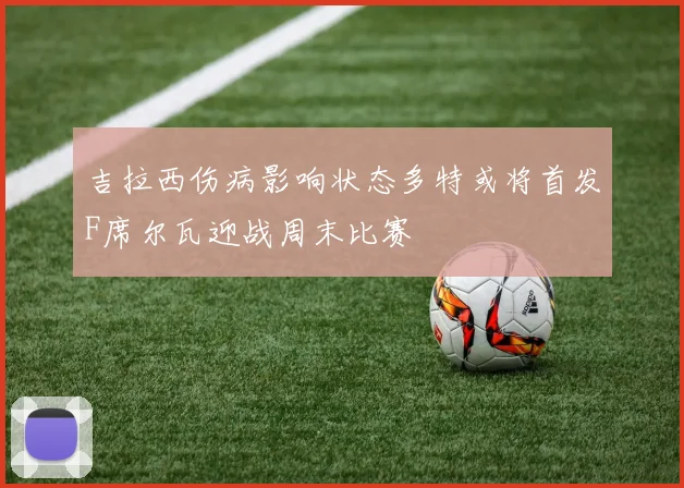 吉拉西伤病影响状态多特或将首发F席尔瓦迎战周末比赛