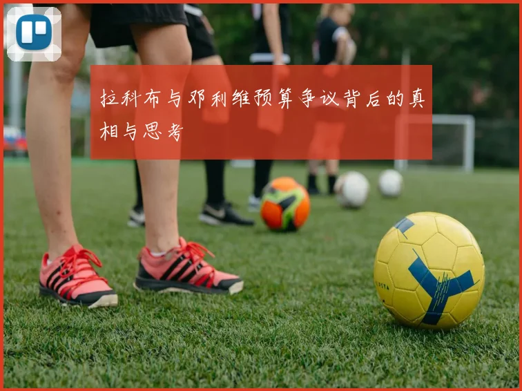 拉科布与邓利维预算争议背后的真相与思考