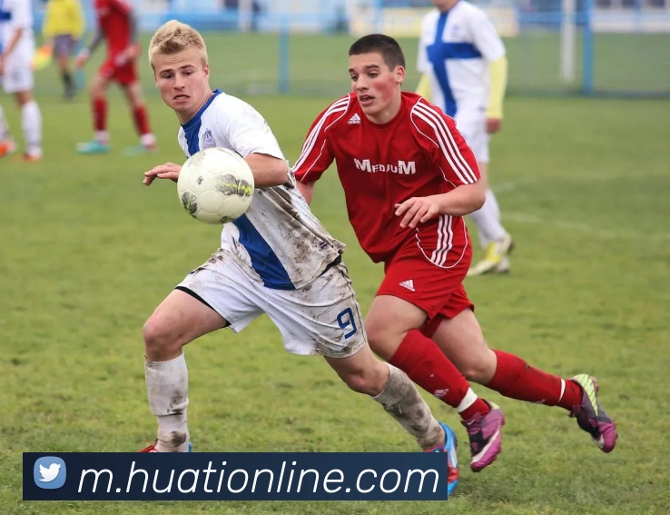 华体会体育APP 封面图